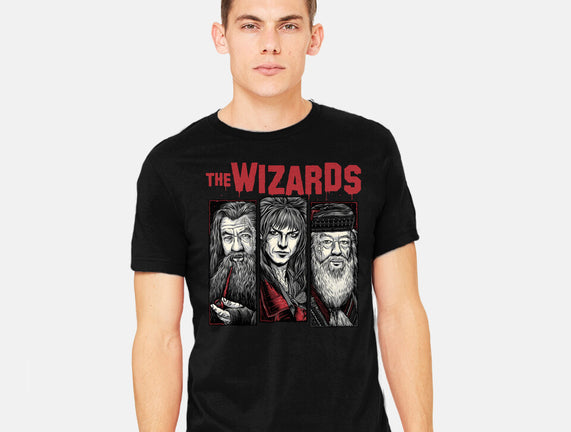 The Wizards