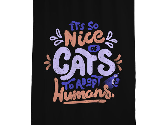 Cats Adopt Humans