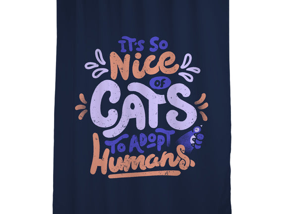 Cats Adopt Humans