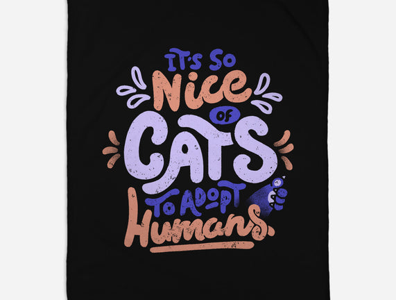 Cats Adopt Humans