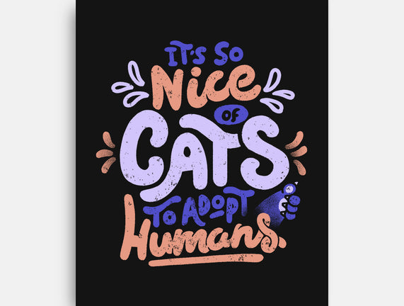 Cats Adopt Humans