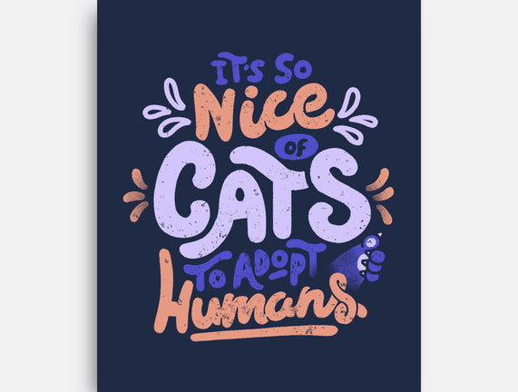 Cats Adopt Humans