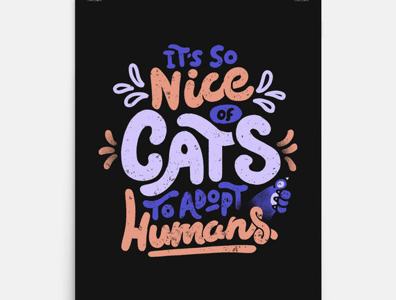 Cats Adopt Humans