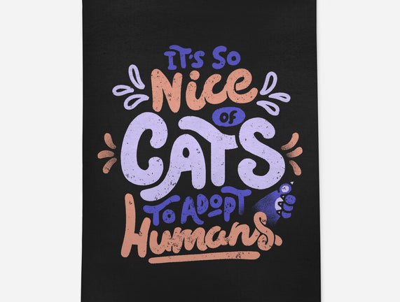 Cats Adopt Humans