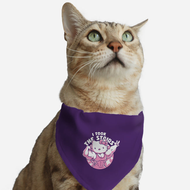 Hello Muscles-Cat-Adjustable-Pet Collar-estudiofitas