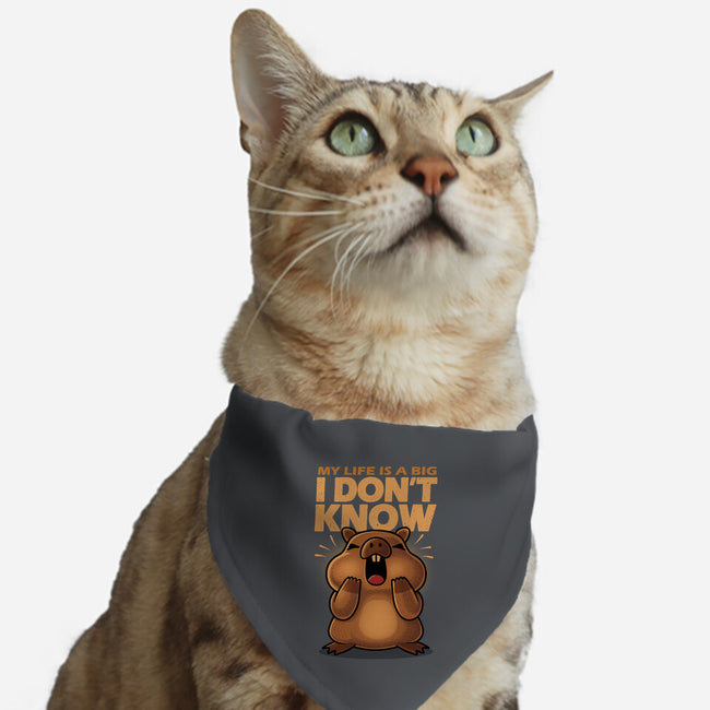 Confused Capybara-Cat-Adjustable-Pet Collar-erion_designs