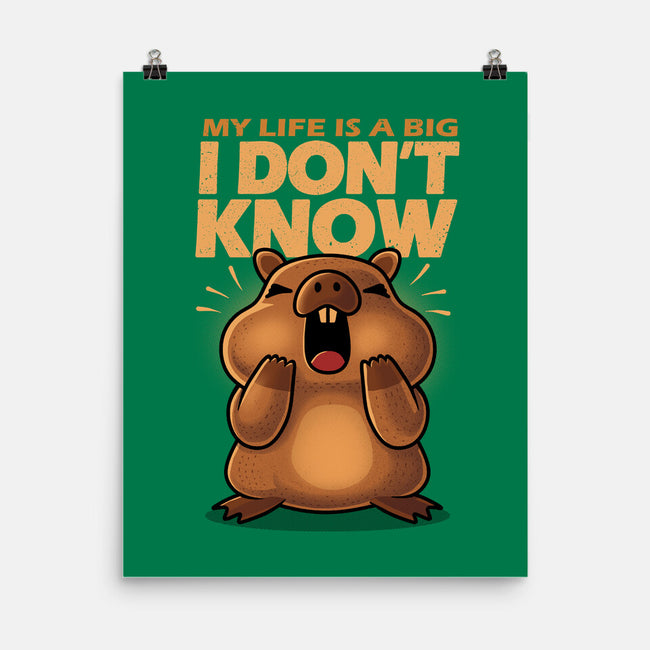 Confused Capybara-None-Matte-Poster-erion_designs