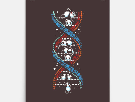 Panda's DNA