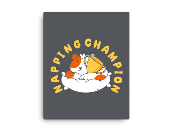 Napping Champion