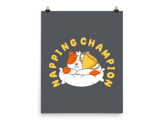 Napping Champion