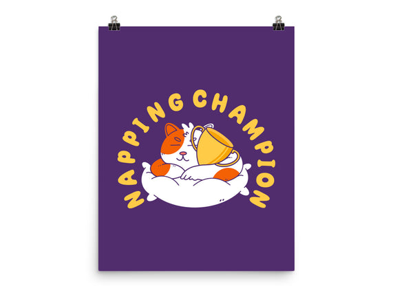 Napping Champion