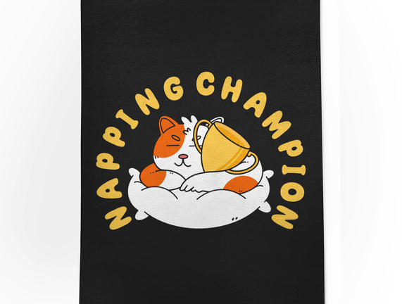 Napping Champion