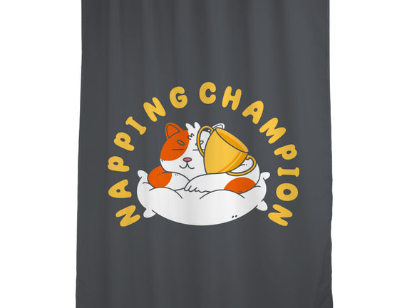 Napping Champion