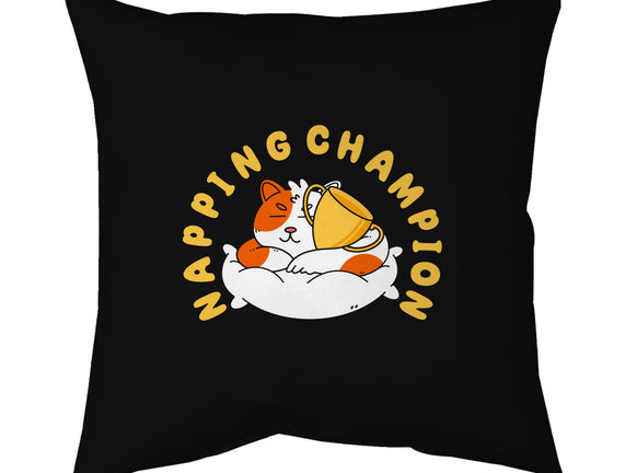 Napping Champion