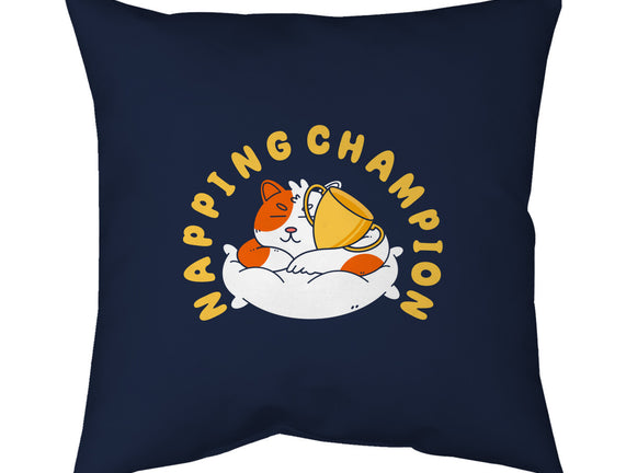 Napping Champion