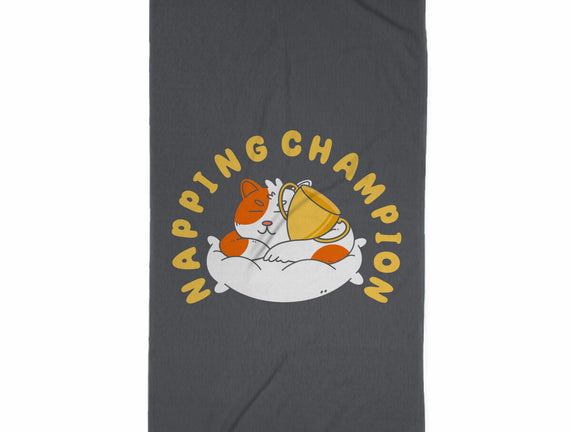 Napping Champion