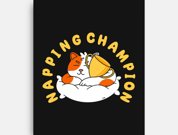 Napping Champion