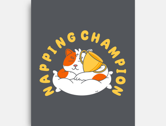 Napping Champion