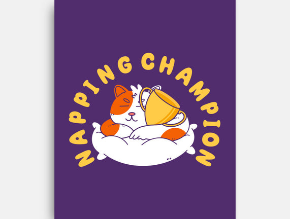 Napping Champion