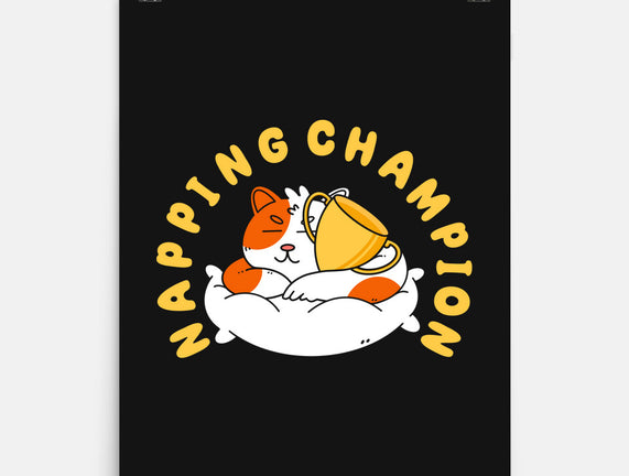 Napping Champion