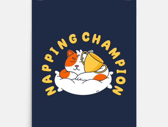 Napping Champion