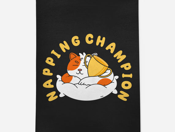 Napping Champion