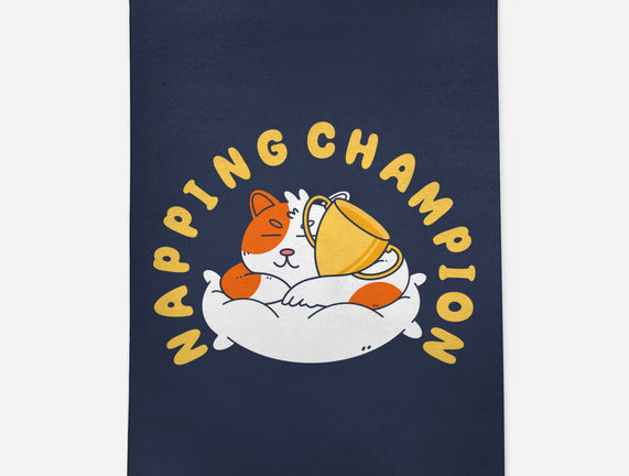 Napping Champion