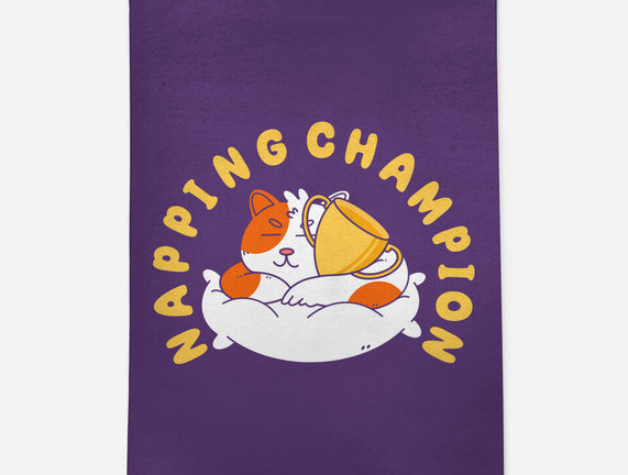 Napping Champion