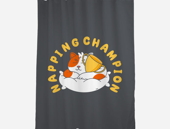 Napping Champion