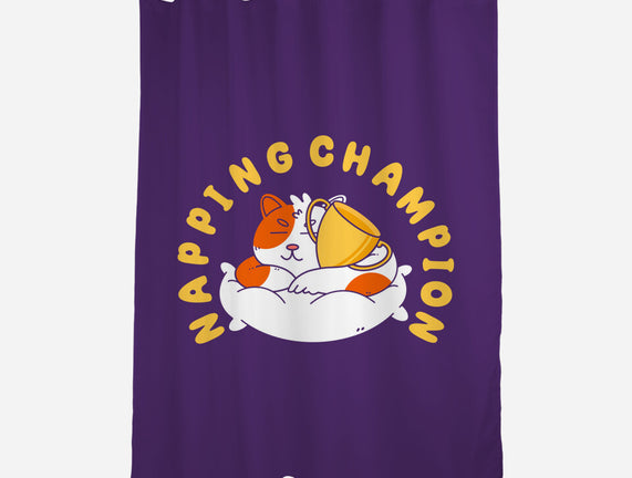 Napping Champion