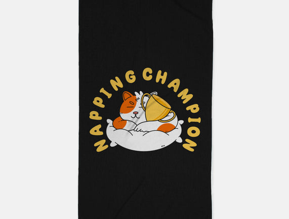 Napping Champion