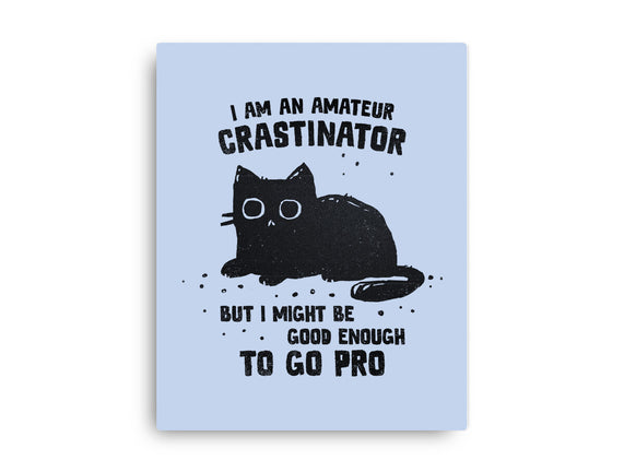 Amateur Crastinator