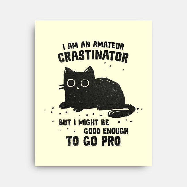 Amateur Crastinator-None-Stretched-Canvas-kg07