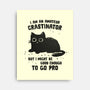 Amateur Crastinator-None-Stretched-Canvas-kg07