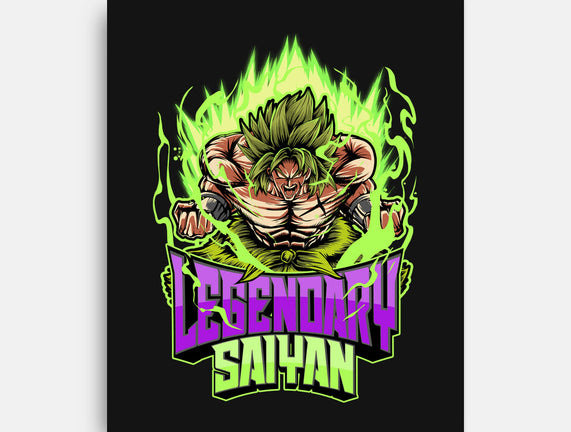 A New Saiyan