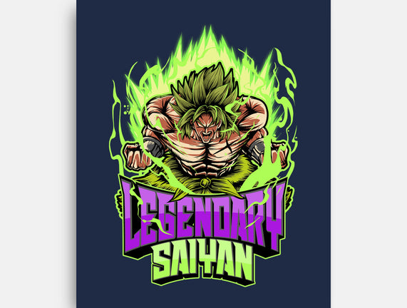 A New Saiyan