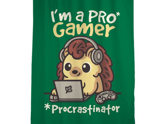 Pro Gamer Procrastinator