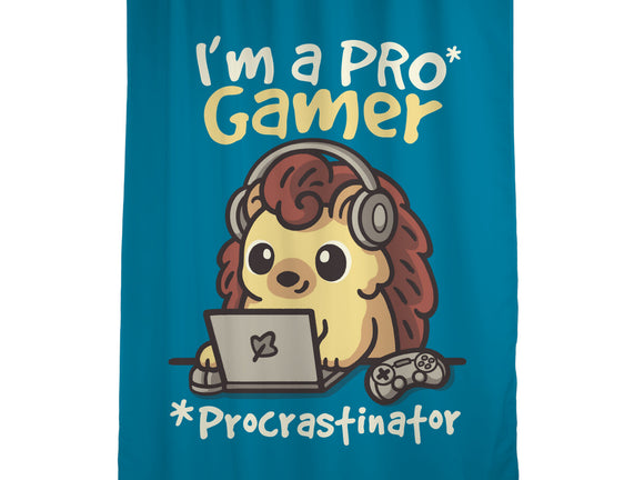 Pro Gamer Procrastinator