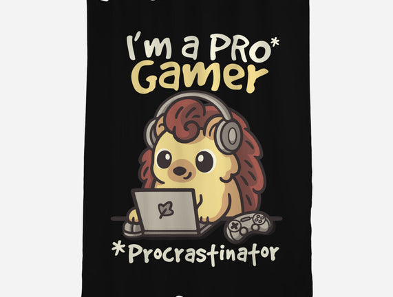 Pro Gamer Procrastinator