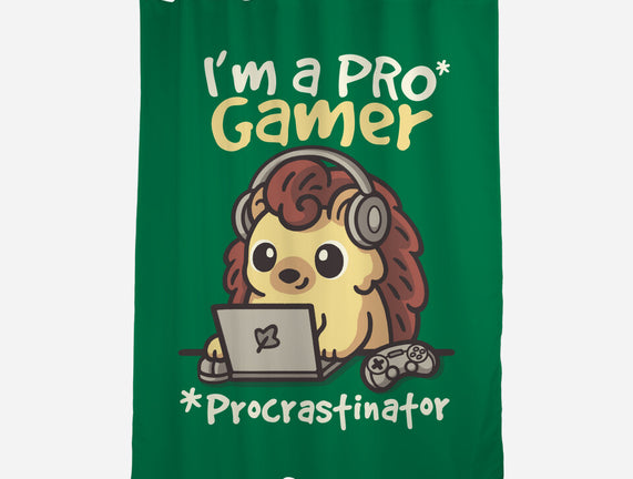 Pro Gamer Procrastinator