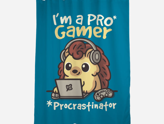 Pro Gamer Procrastinator