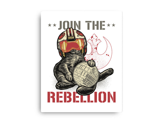 Join The Cat Rebellion