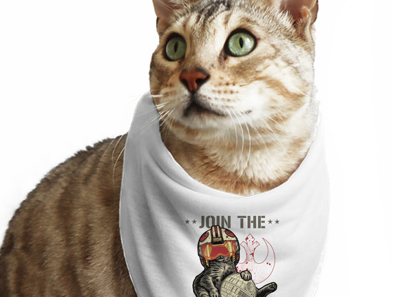 Join The Cat Rebellion