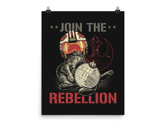 Join The Cat Rebellion