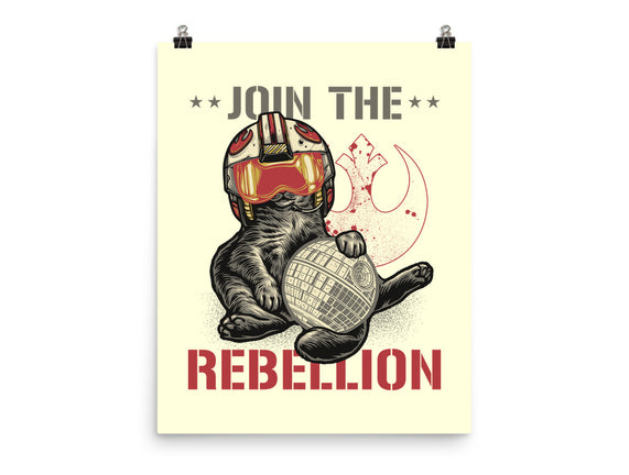 Join The Cat Rebellion