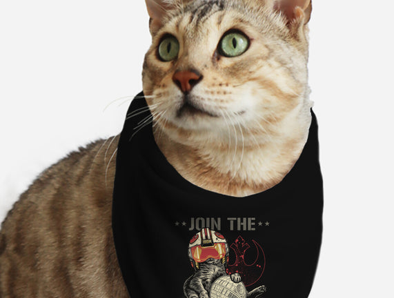 Join The Cat Rebellion