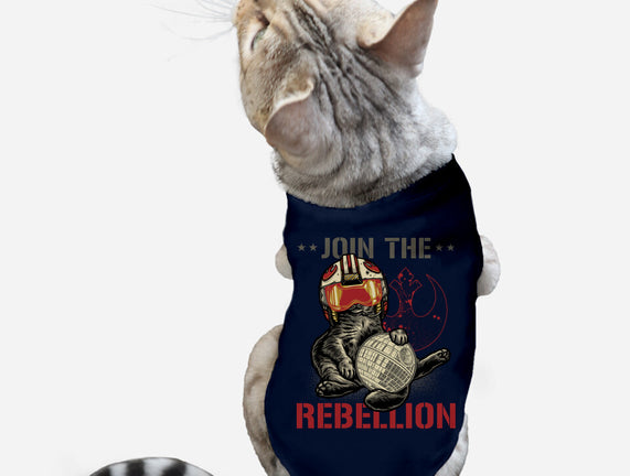 Join The Cat Rebellion