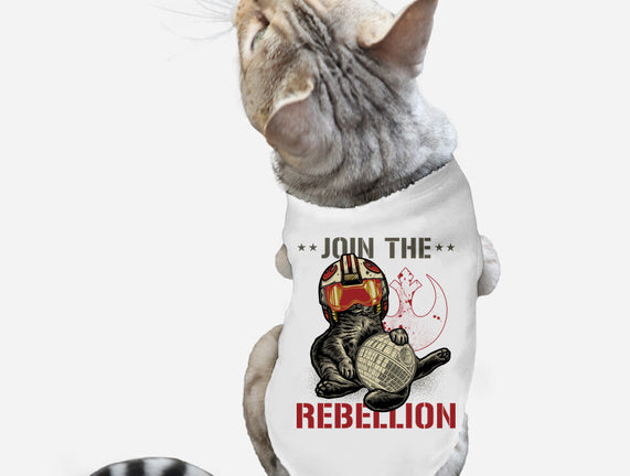 Join The Cat Rebellion