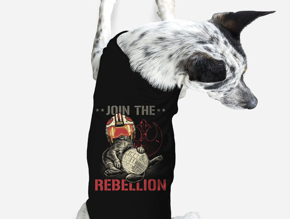 Join The Cat Rebellion