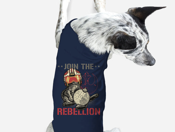 Join The Cat Rebellion